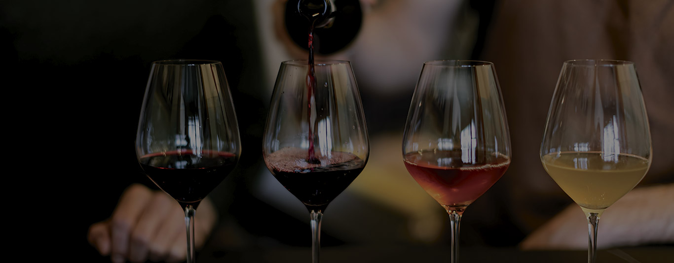 Wine Tasting Madrid