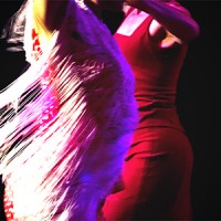 What to see in Madrid - flamenco Madrid S