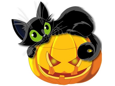 Spooktacular Halloween Madrid - Some facts you didn't know! - image cat on https://madride.net