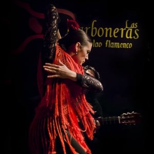 Flamenco Las Carboneras
