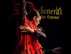 Group Activities Madrid - Flamenco in Madrid