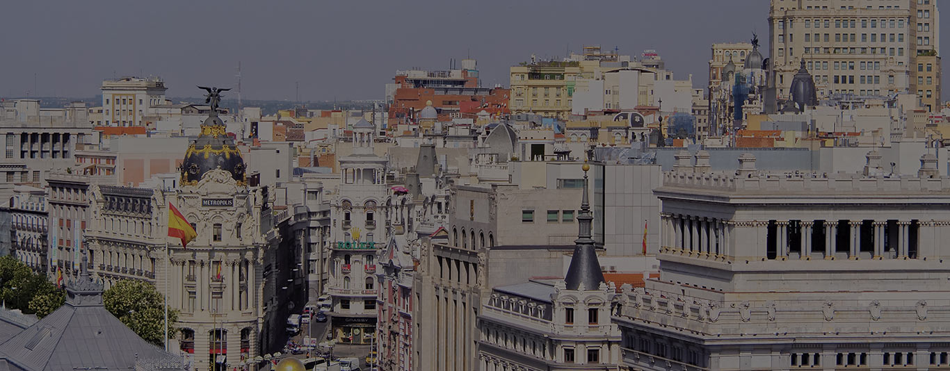 Half-day guided tour of Madrid - Madrid View